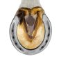 Herradura lisa Lucky Seven #1 Mustad